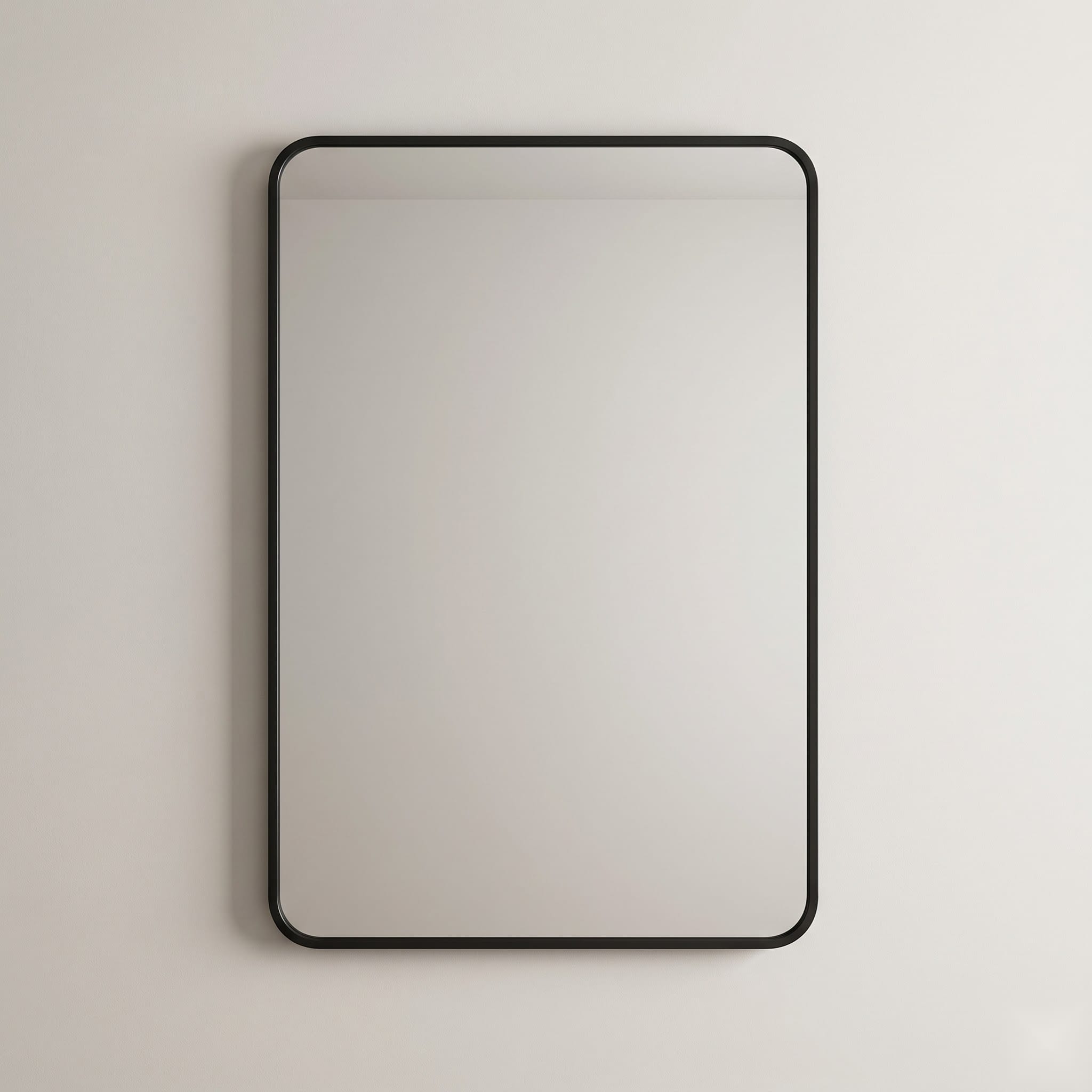 Delma 30 × 20-Inch Black Framed Vanity Mirror